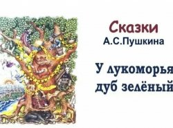 img (2)